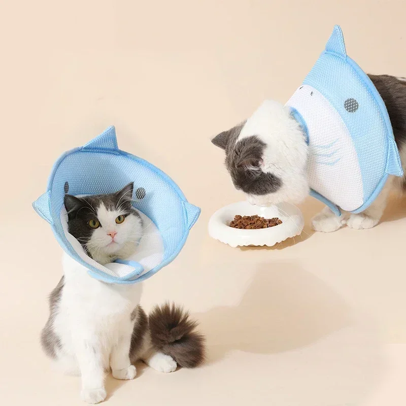 Coleira de Recuperação para Gatos Ajustável Macia Ouro - Imagem 6