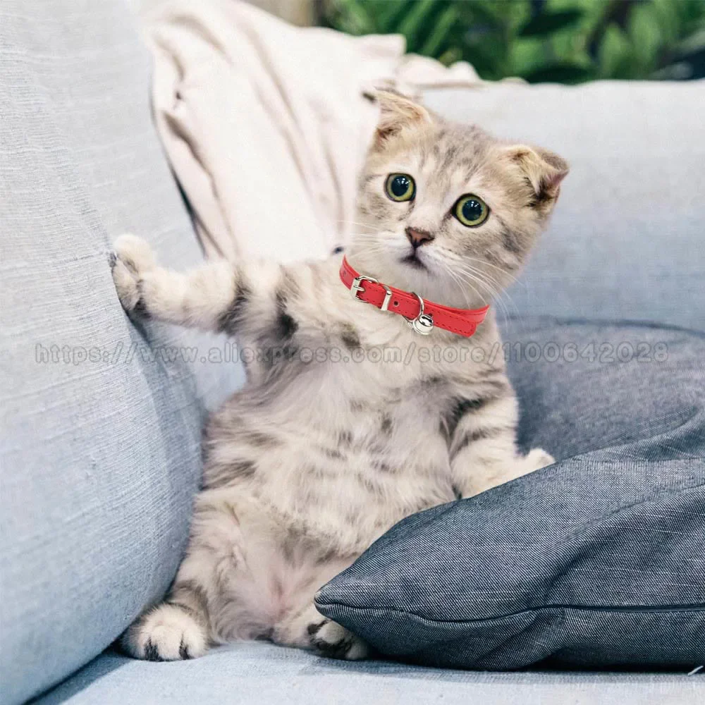 Coleira para Gatos e Cães Pequenos de Couro PU com Sino Ajustável - Imagem 5