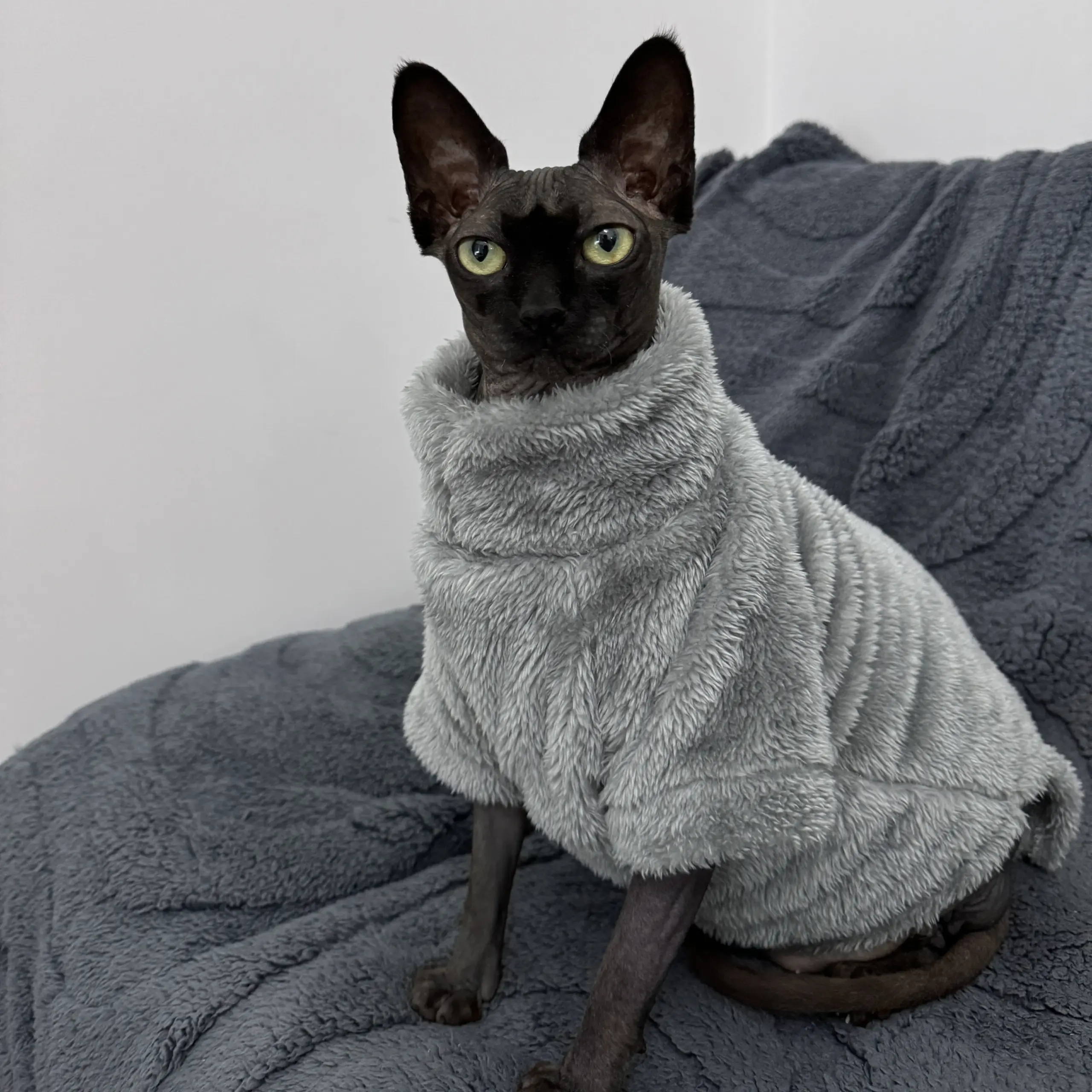 Suéter para Gatos sem Pelos de Veludo Ártico Quente - Imagem 2