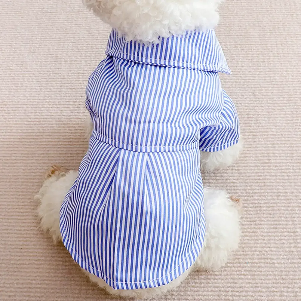 Roupa para Cães Listrada Azul de Poliéster para Verão - Imagem 2