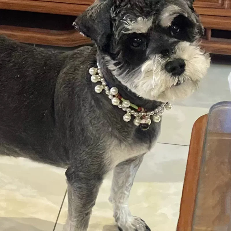 Colar para Cães e Gatos Pequenos com Pingente de Pérola e Strass - Imagem 5