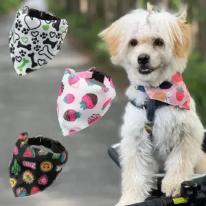 coleira para cães pequenos com bandana
