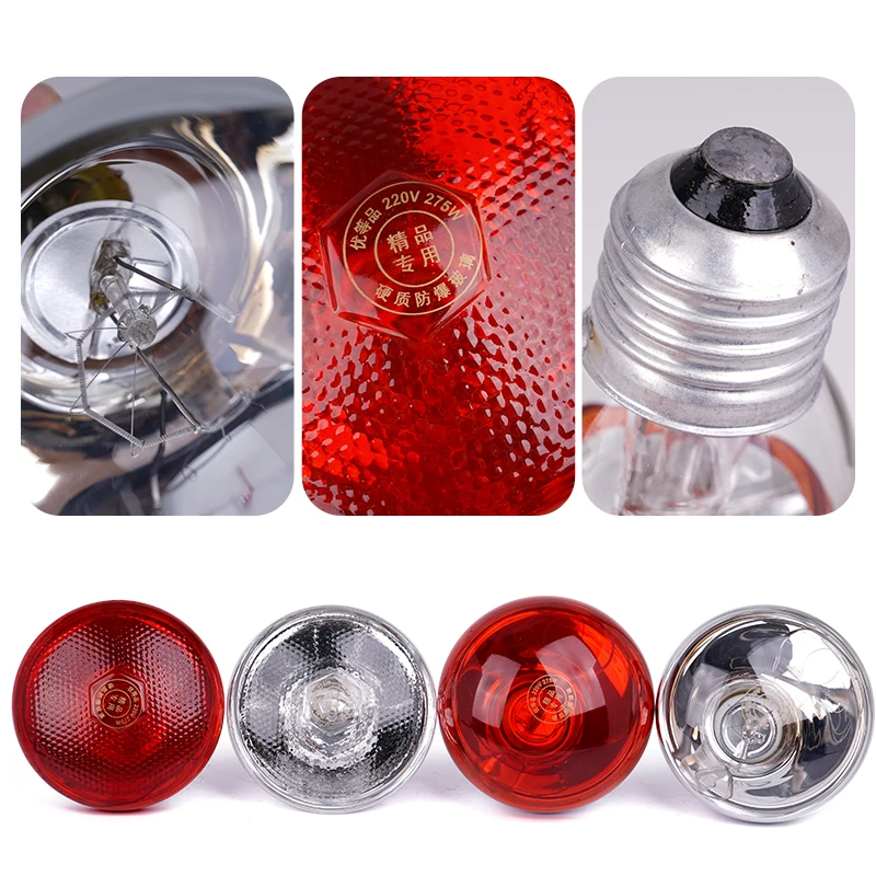 Lâmpada de Aquecimento Infravermelho para Aves e Répteis 220V 100W - Imagem 4