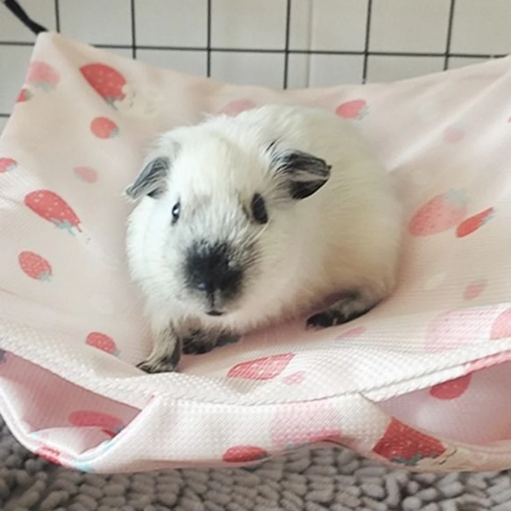 rede de descanso para esquilos e hamsters