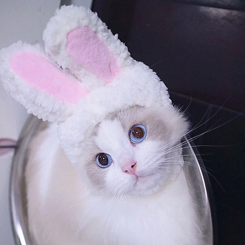Peruca de Leão para Cães e Gatos de Poliéster 32 cm Pescoço - Imagem 6