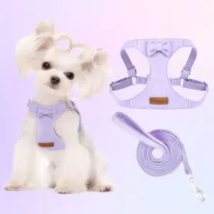 conjunto peitoral e coleira camurça para cães