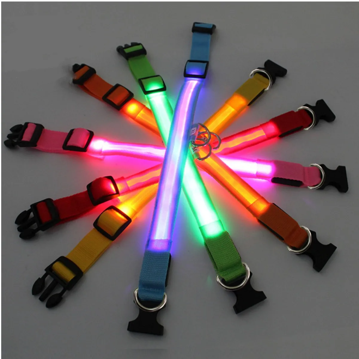 Coleira de LED para Cães Ajustável Recarregável USB e Anti-Perda Noturna - Imagem 6