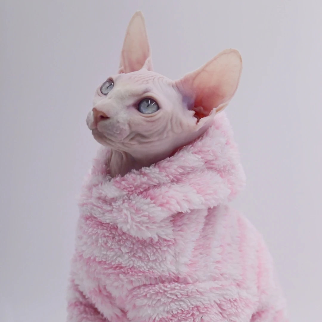 Cardigan Pet de Fleece para Gatos Sem Pelo G - Image 4