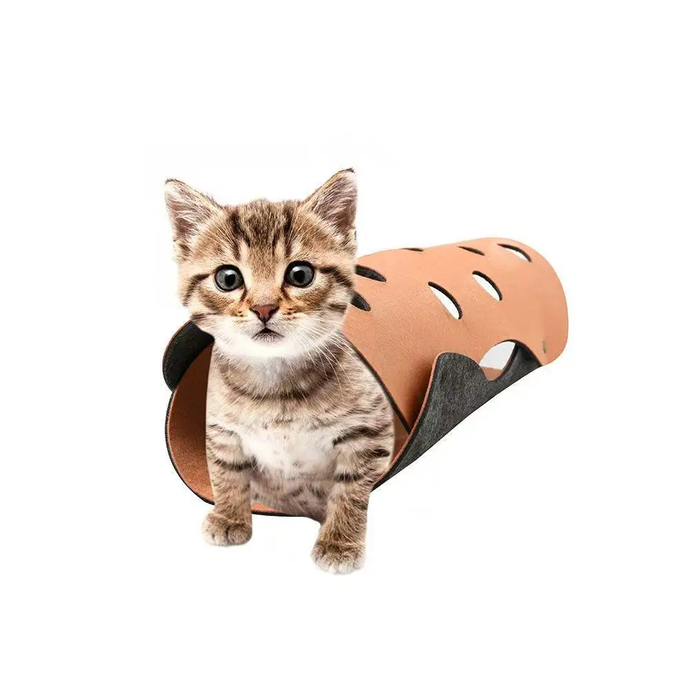 Túnel de Gato Dobrável Gusscat de Feltro Modular para Brincar - Image 6