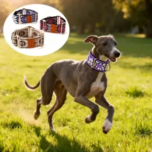 coleira martingale para cães galgo
