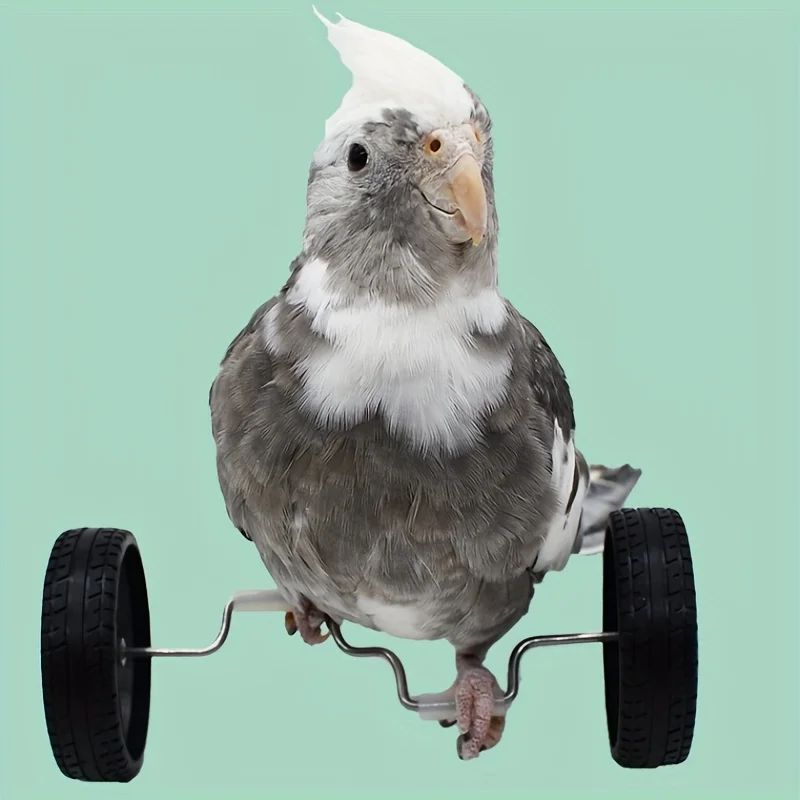 Brinquedo Bicicleta para Pássaros, Mini Rodas para Treinamento - Imagem 6