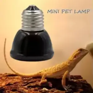 lâmpada de cerâmica para répteis e aves
