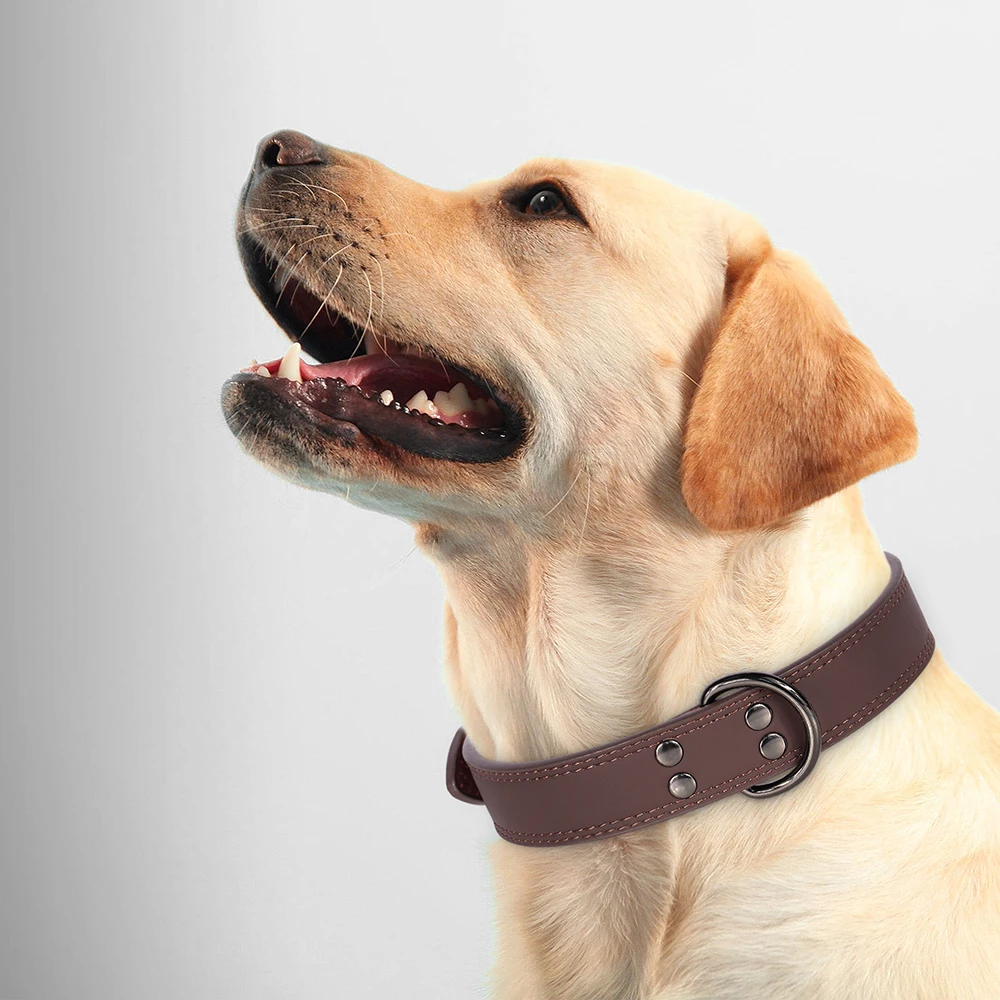 Coleira de Couro para Cães Pequenos e Médios Macia e Durável - Image 3
