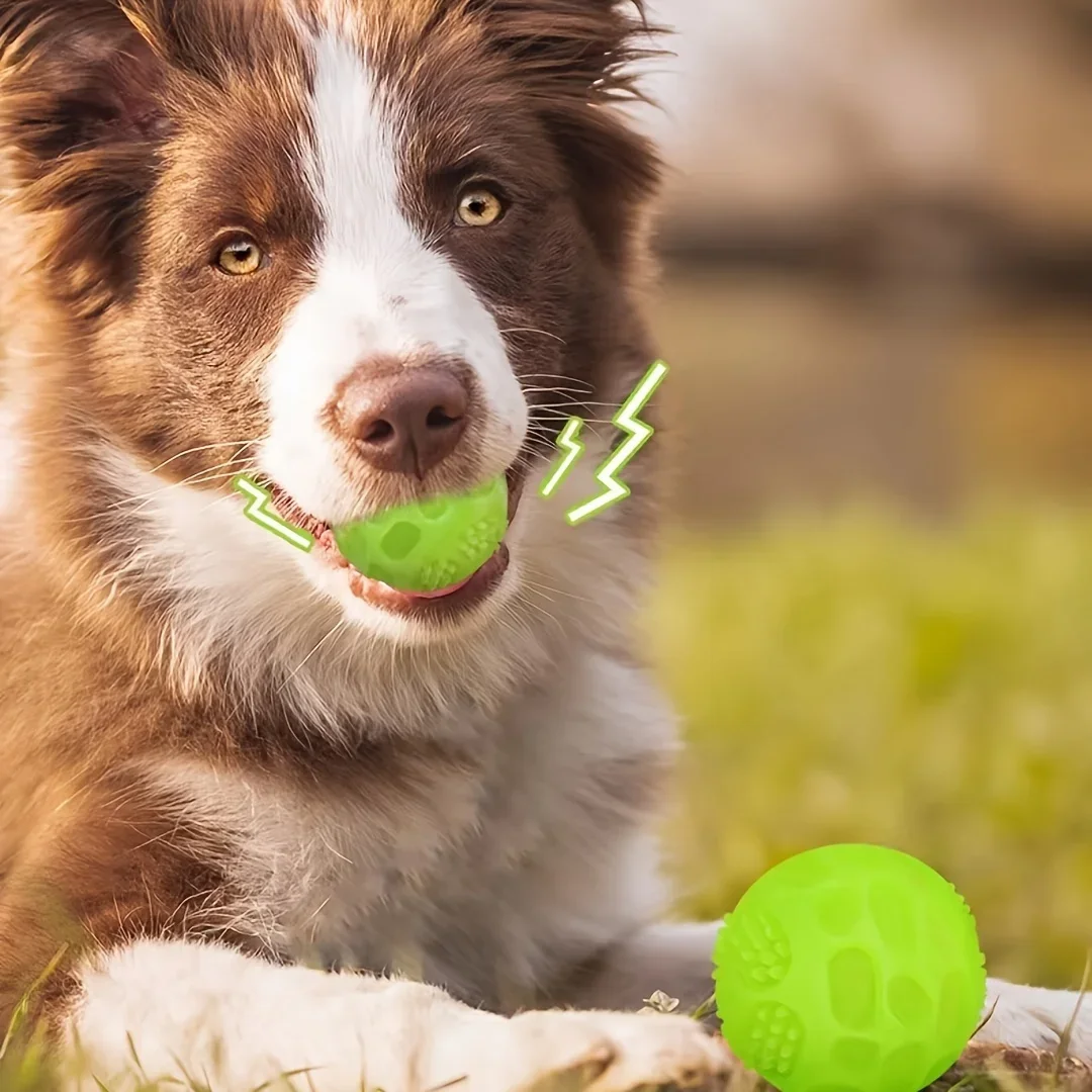 Brinquedo Bola para Cães que Brilha no Escuro para Entretenimento Noturno - Imagem 6