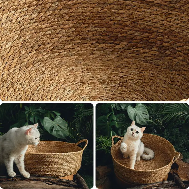 Cama Ninho para Gatos de Rattan com 33-35 cm - Image 5