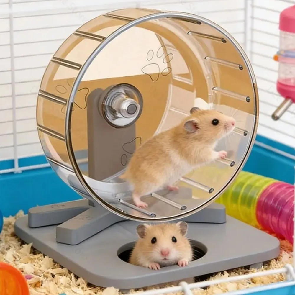 Roda de Exercício para Hamster 12 cm Desmontável Transparente - Image 3
