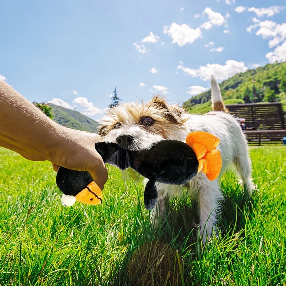 Brinquedo para Cães Galinha Gritante Interativo Resistente a Mordidas - Imagem 5