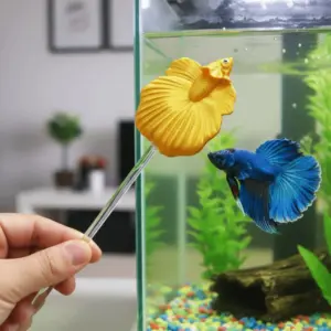 varinha para peixes de aquário