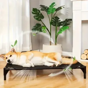 cama elevada para cães e gatos