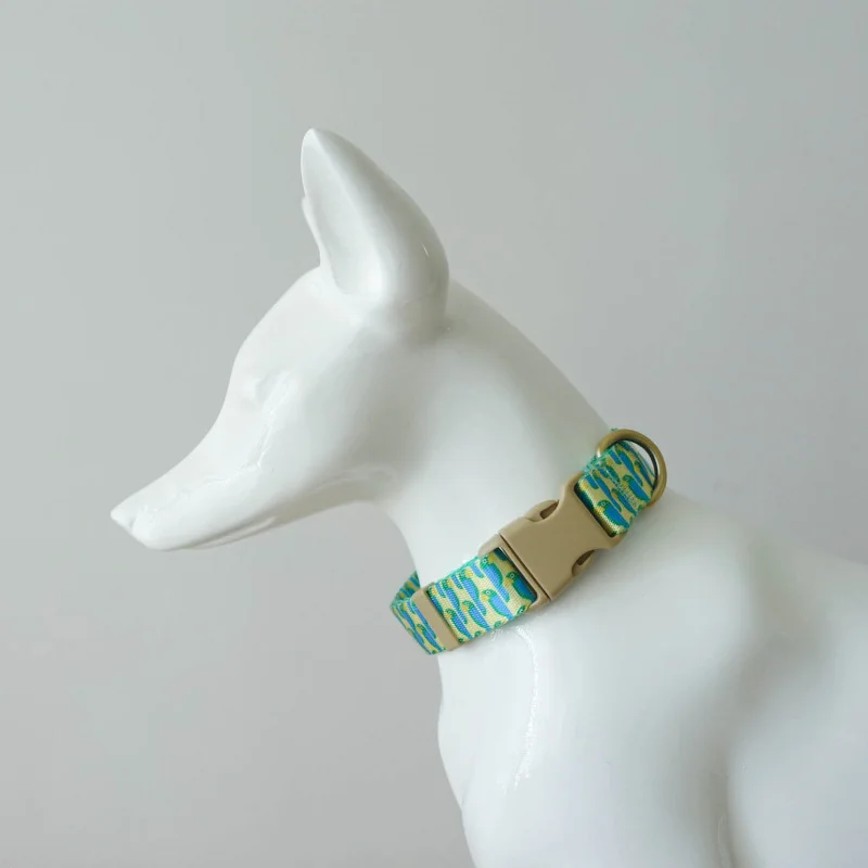 Coleira para Cães de Nylon Ajustável com Gravação Personalizada - Image 6