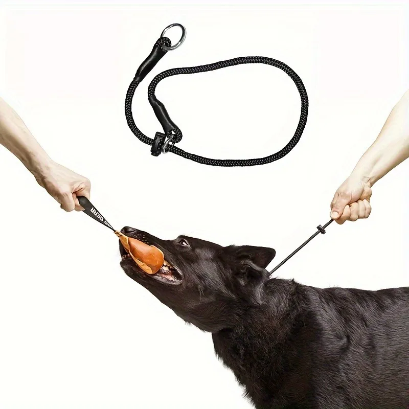 Trela de Treinamento para Cães de Poliéster com Coleira Ajustável - Imagem 3