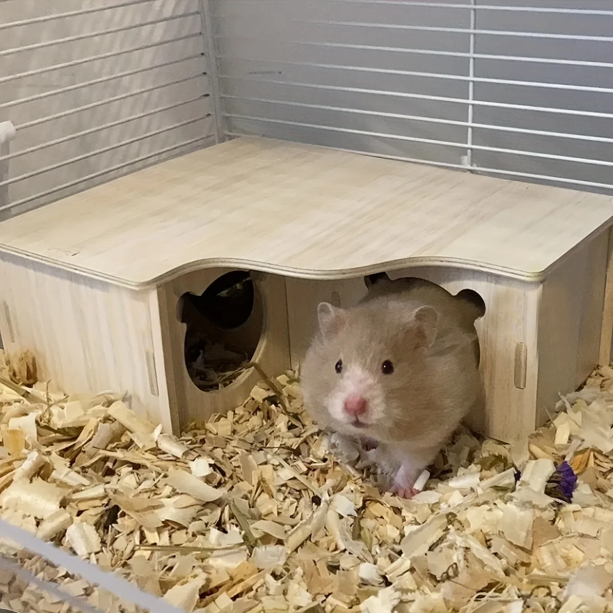 balanço e toca para hamster de madeira
