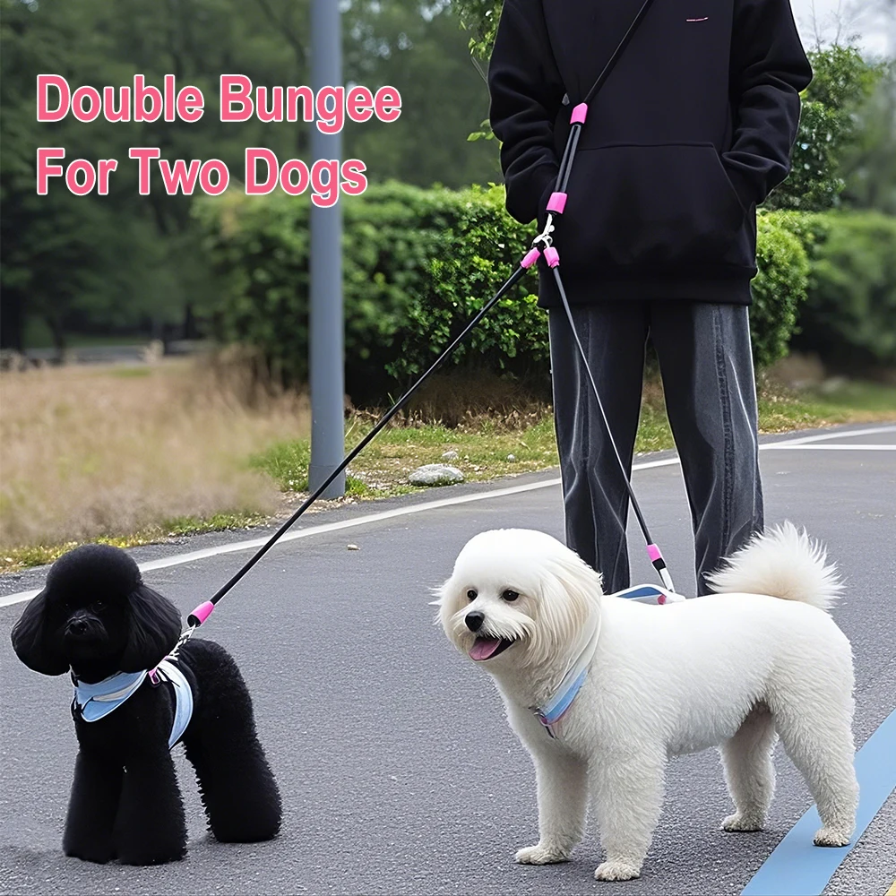 Coleira Guia de Nylon para Cães com Alça Dupla Ajustável 1,8 m - Image 3