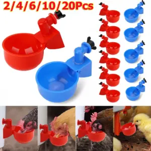 bebedouro automático para aves