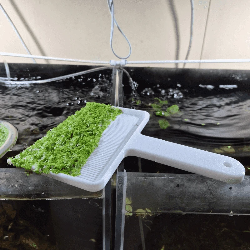 Escumadeira para Aquário para Remover Plantas Flutuantes - Imagem 2