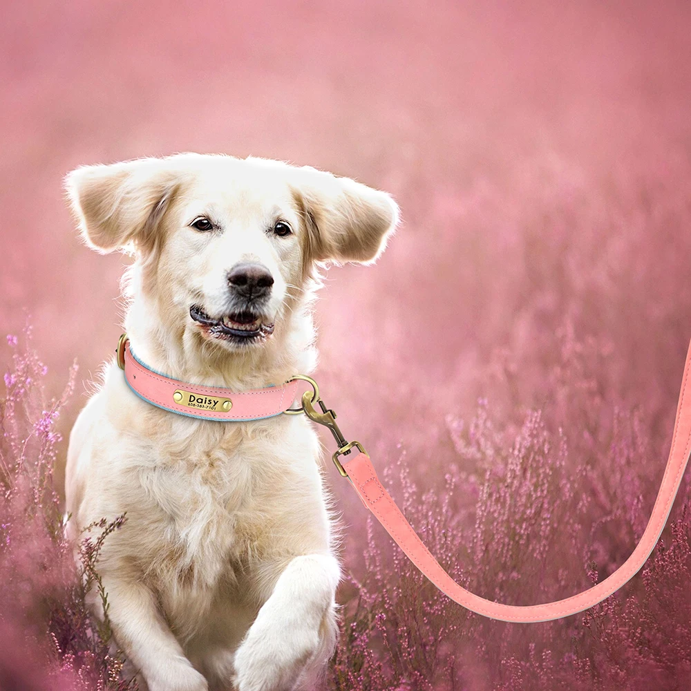 Trela de Couro para Cães de 1,5 m para Passeio e Treinamento - Image 5