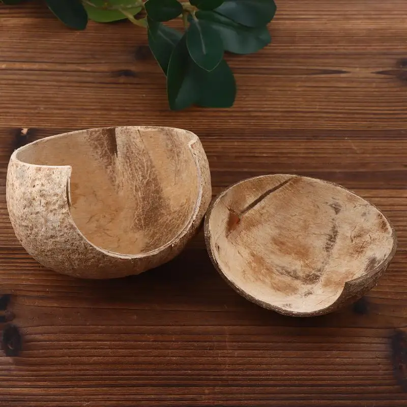 Decoração de Coco para Aquário e Terrário Esconderijo Natural - Imagem 3