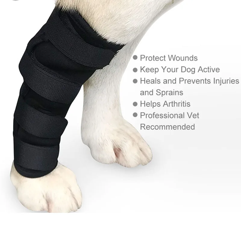 Joelheira para Cães de Recuperação Anti-Lambedura Pós-Operatória - Imagem 5