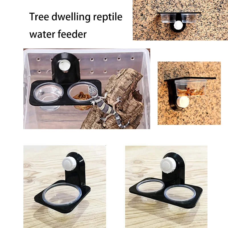 tigela para répteis com ventosa