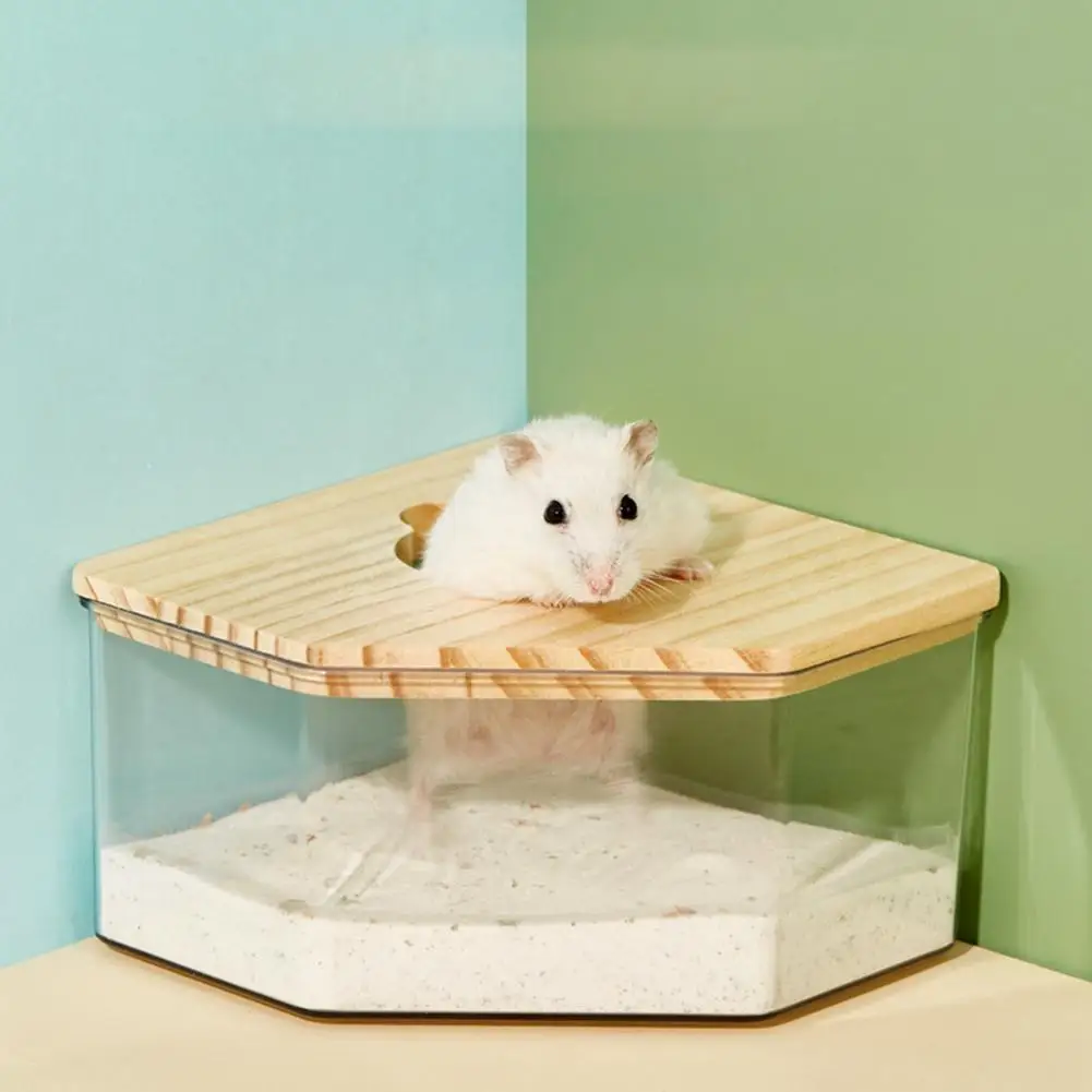 Caixa de Banho para Hamster Acrílico Transparente com Tampa Removível - Imagem 5
