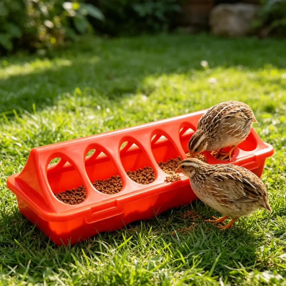 Comedouro para Aves de Plástico com 12 Furos Anti-Desperdício - Imagem 4