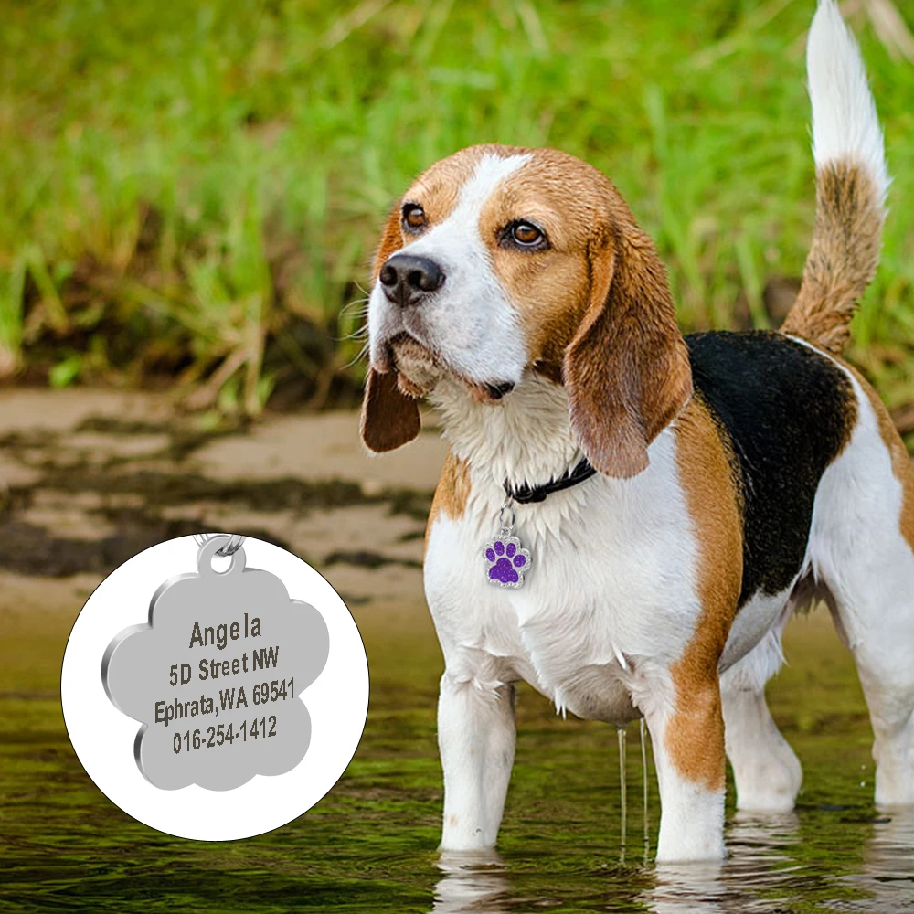 Etiquetas de Identificação para Cães e Gatos de Aço Inoxidável Gravado - Imagem 5