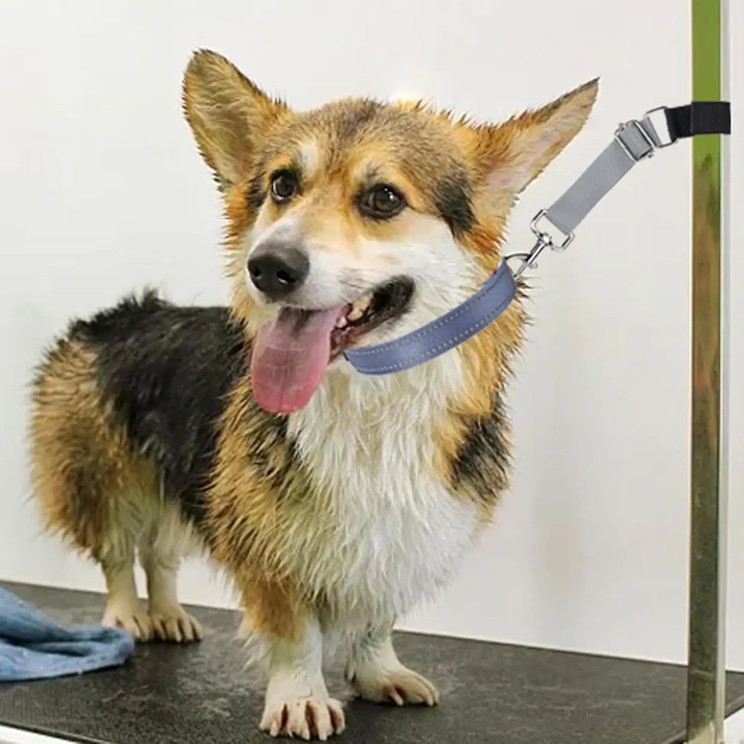Trelas para Tosa de Cães, 2 Peças, Nylon Ajustável para Braço - Imagem 5