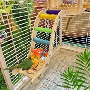 escada para pássaros escalar