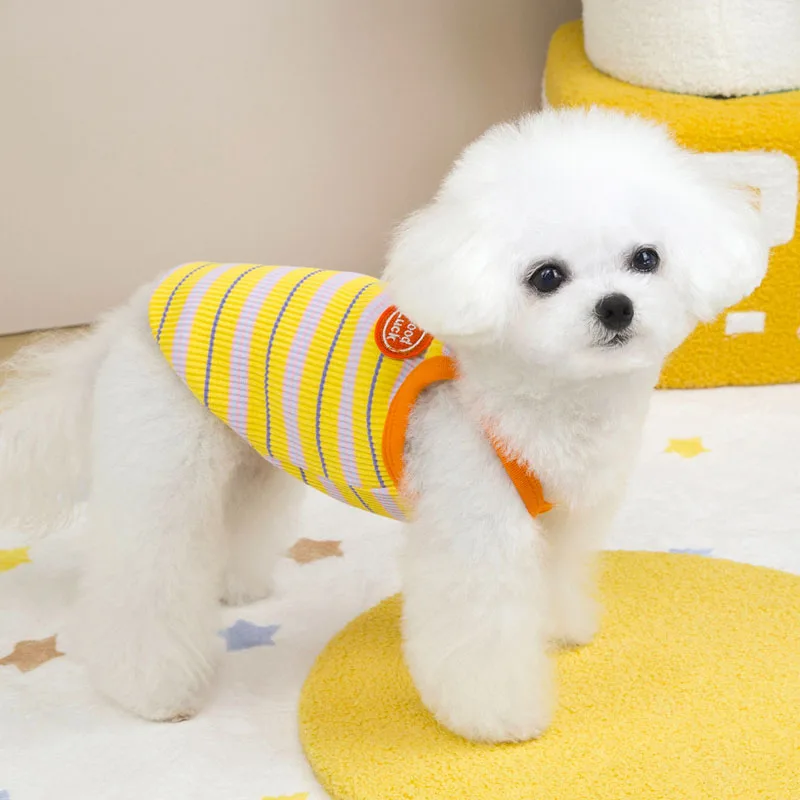 Colete Regata para Cães Pequenos Listrado com Capuz Verão - Imagem 4