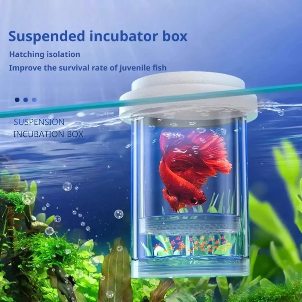 Caixa de Isolamento Flutuante para Aquário Plástico 7,8 cm com Suspensão - Imagem 3