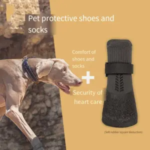 botas de inverno para cães