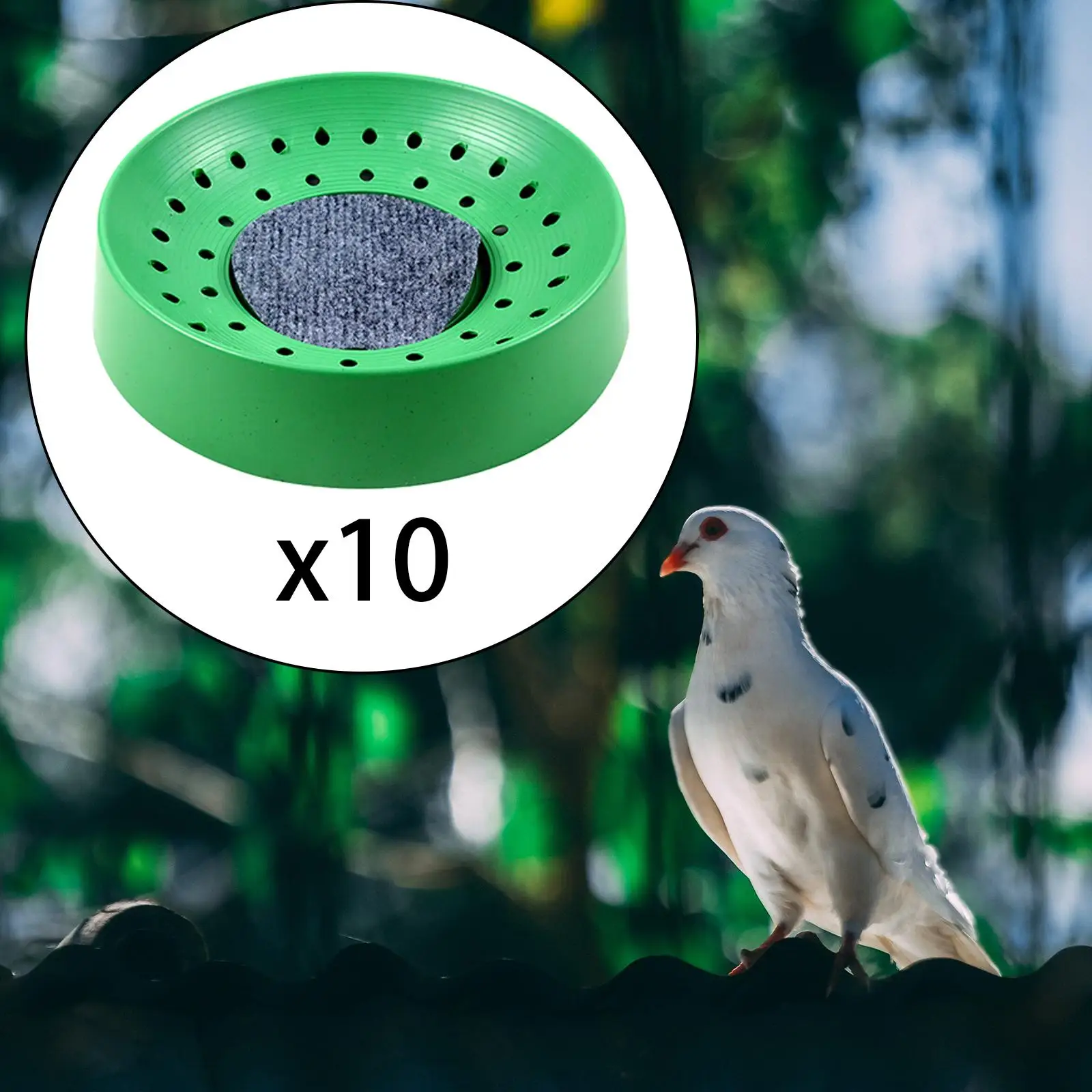Ninho para Pombos de Plástico com Tapete 20,5 cm Lavável - Imagem 3