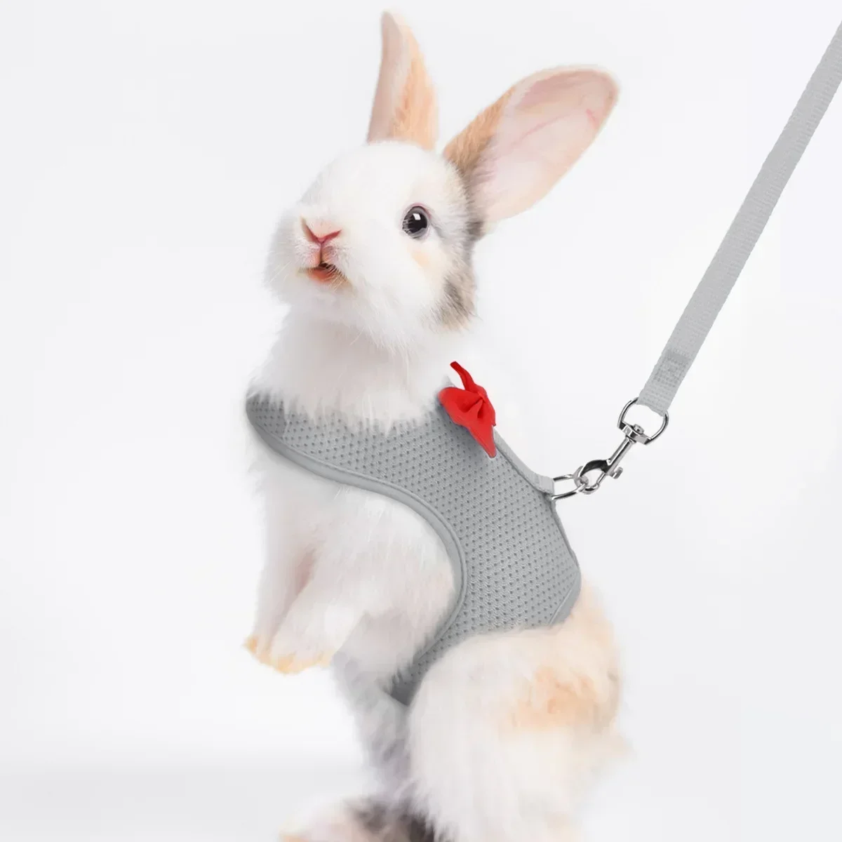 Arnês de Malha para Coelhos Ajustável para Passeio - Imagem 4