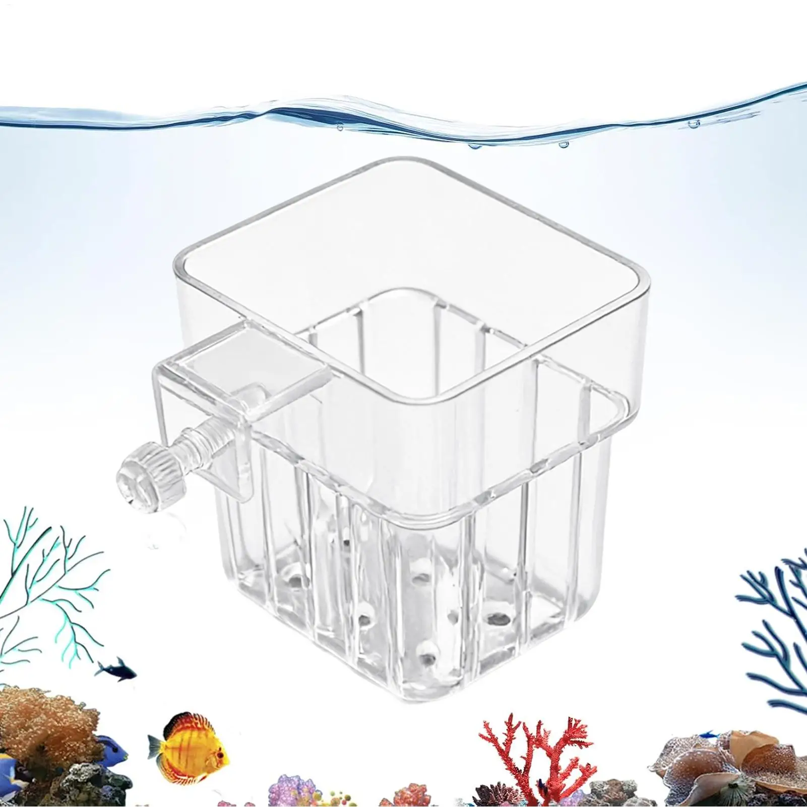 Suporte para Plantas de Aquário Transparente PP com Grade Respirável - Imagem 2