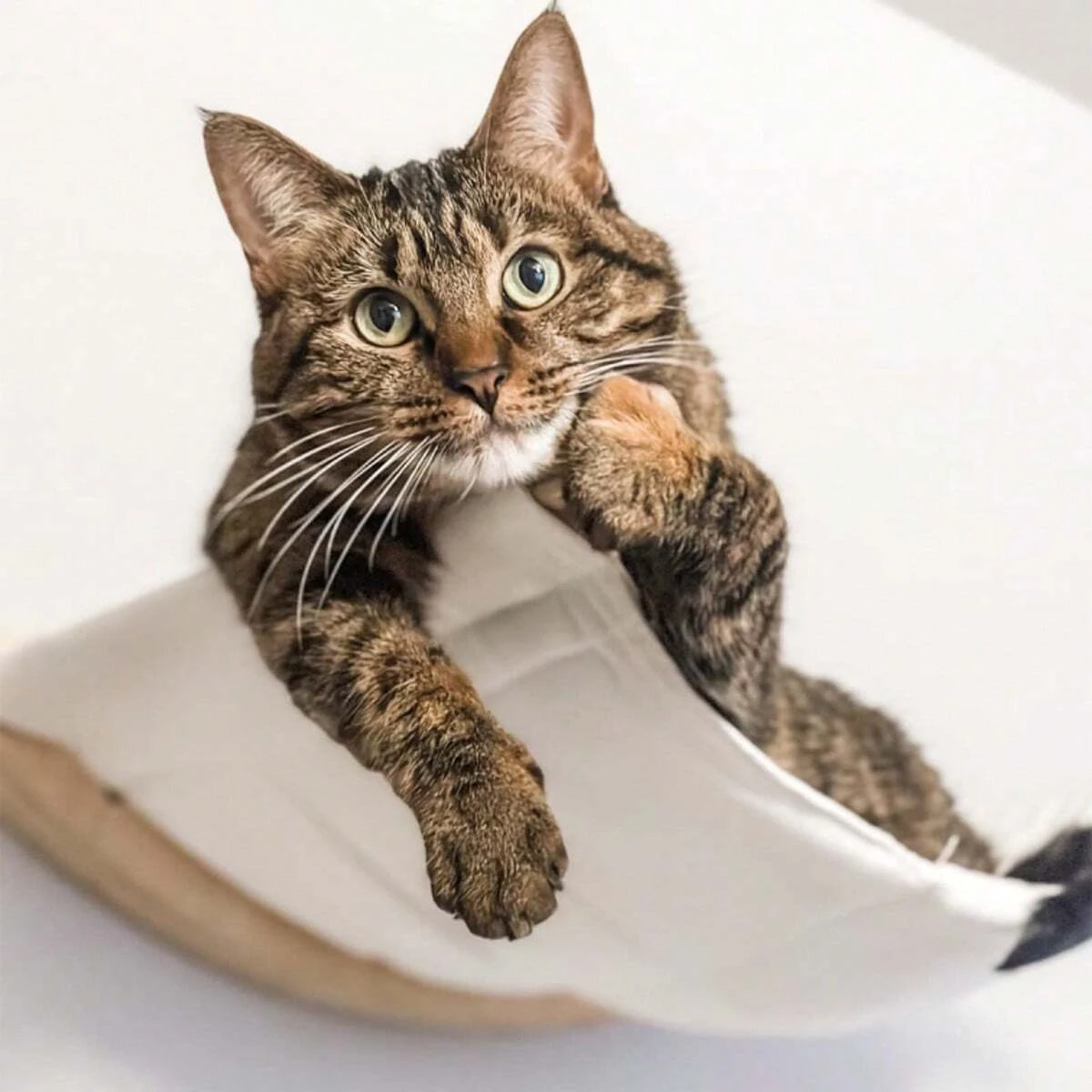 Rede para Gatos de Parede para Descanso e Escalada - Image 2