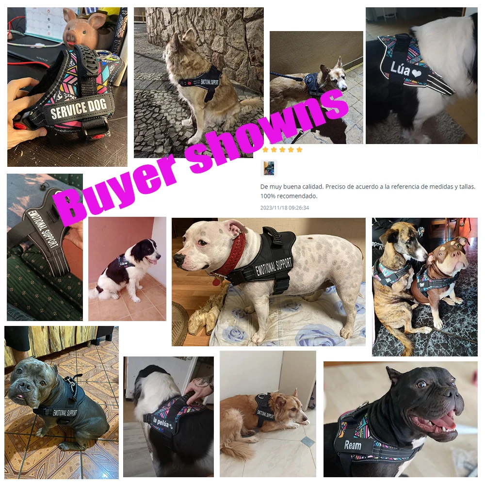 Coleira Peitoral para Cães Ajustável com Patches Personalizáveis - Imagem 5