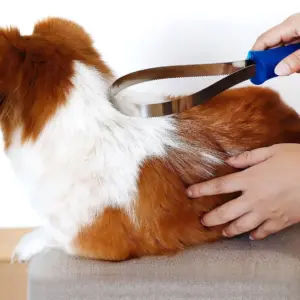 limpador de pelos para pets