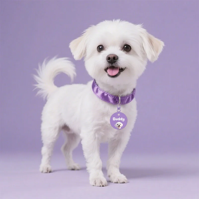 Etiqueta de Identificação para Cães e Gatos Personalizável com Nome - Imagem 6