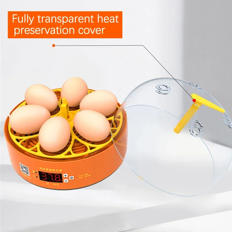 Incubadora de Ovos Automática para Aves com Viragem Automática - Imagem 3