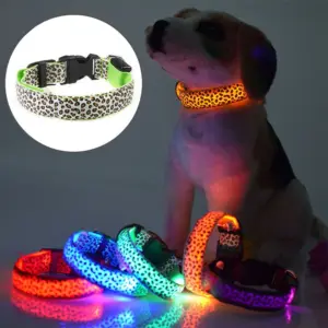 coleira de led para cães